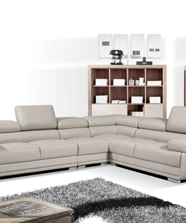 2119 PREMIUM LEATHER SECTIONAL SKU: SE0003