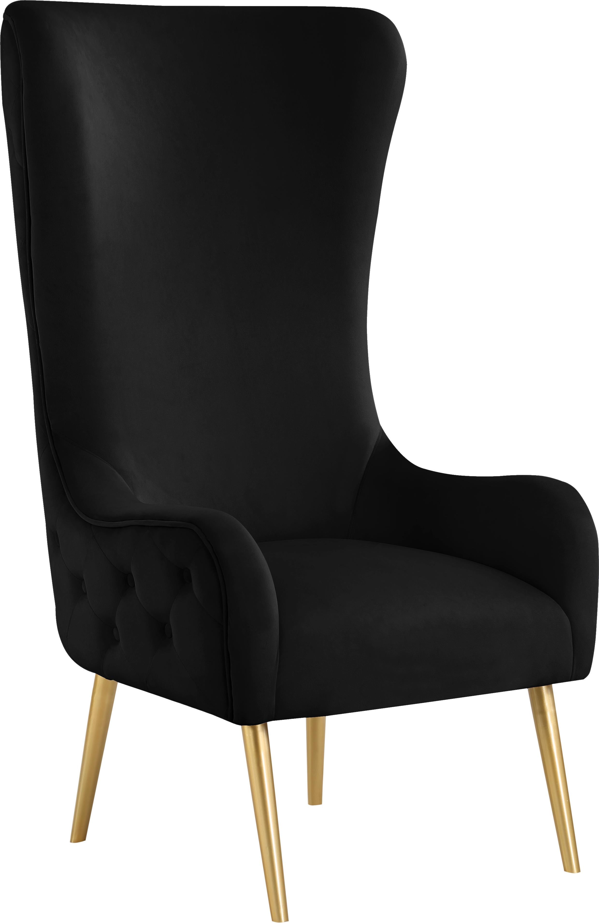 Alexander Black Velvet Accent Chair - Luxe Home Furnishings (Jersey City, NJ)